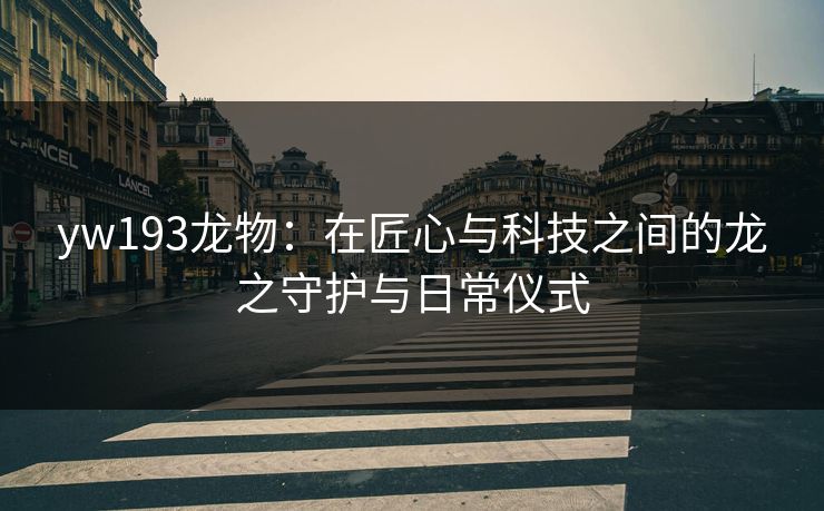 yw193龙物：在匠心与科技之间的龙之守护与日常仪式