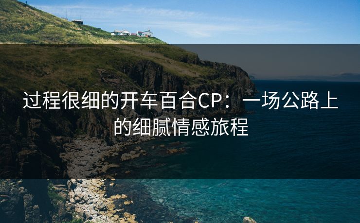 过程很细的开车百合CP：一场公路上的细腻情感旅程