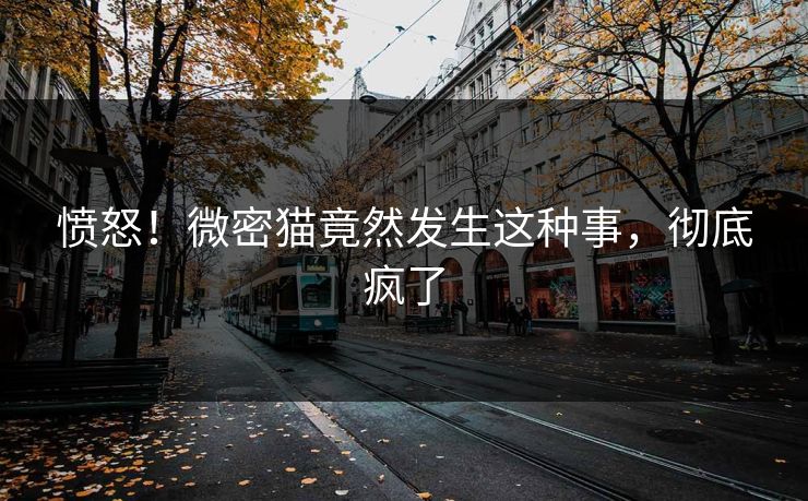 愤怒！微密猫竟然发生这种事，彻底疯了