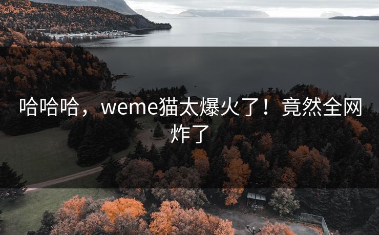 哈哈哈，weme猫太爆火了！竟然全网炸了