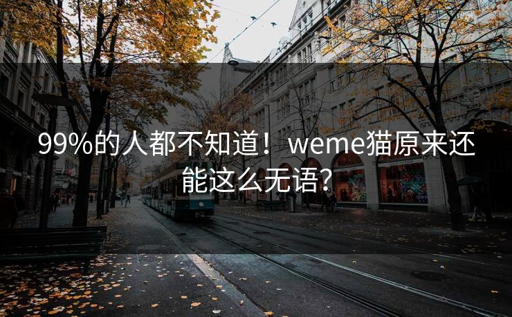 99%的人都不知道！weme猫原来还能这么无语？