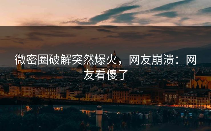 微密圈破解突然爆火，网友崩溃：网友看傻了