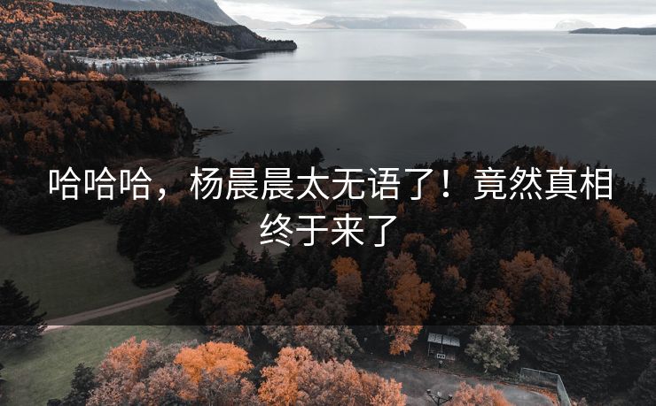 哈哈哈，杨晨晨太无语了！竟然真相终于来了