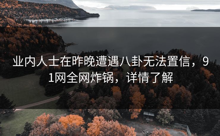 业内人士在昨晚遭遇八卦无法置信，91网全网炸锅，详情了解