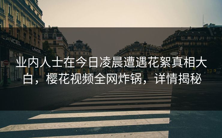 业内人士在今日凌晨遭遇花絮真相大白，樱花视频全网炸锅，详情揭秘