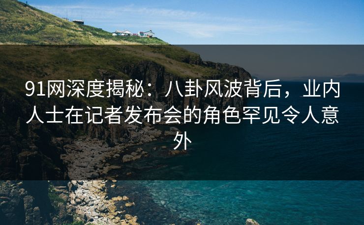 91网深度揭秘：八卦风波背后，业内人士在记者发布会的角色罕见令人意外