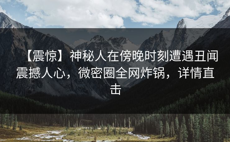 【震惊】神秘人在傍晚时刻遭遇丑闻震撼人心，微密圈全网炸锅，详情直击