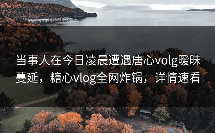 当事人在今日凌晨遭遇唐心volg暧昧蔓延，糖心vlog全网炸锅，详情速看