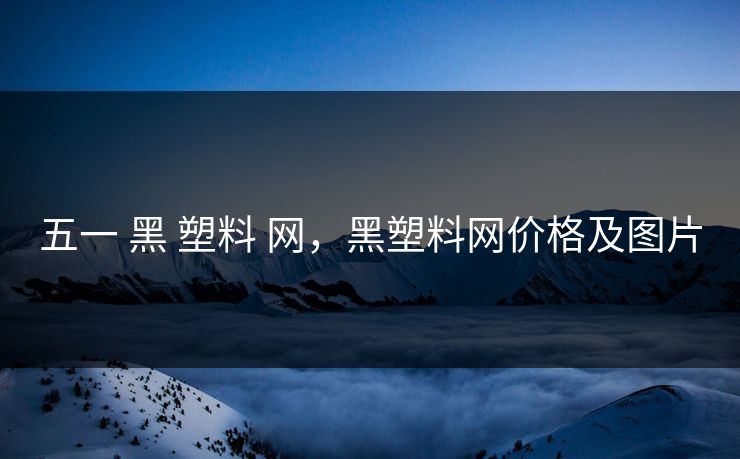 五一 黑 塑料 网，黑塑料网价格及图片
